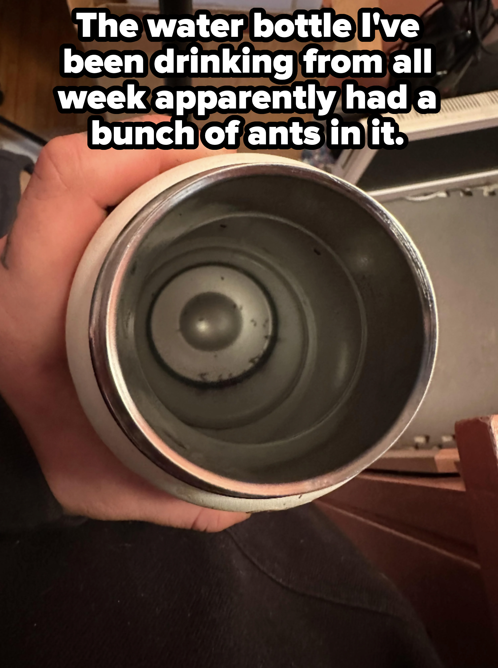 Person holding an empty stainless steel water bottle with a small indentation at the bottom and small, dark dots at the bottom, with caption, &quot;The water bottle I&#x27;ve been drinking from all week apparently had a bunch of ants in it&quot;