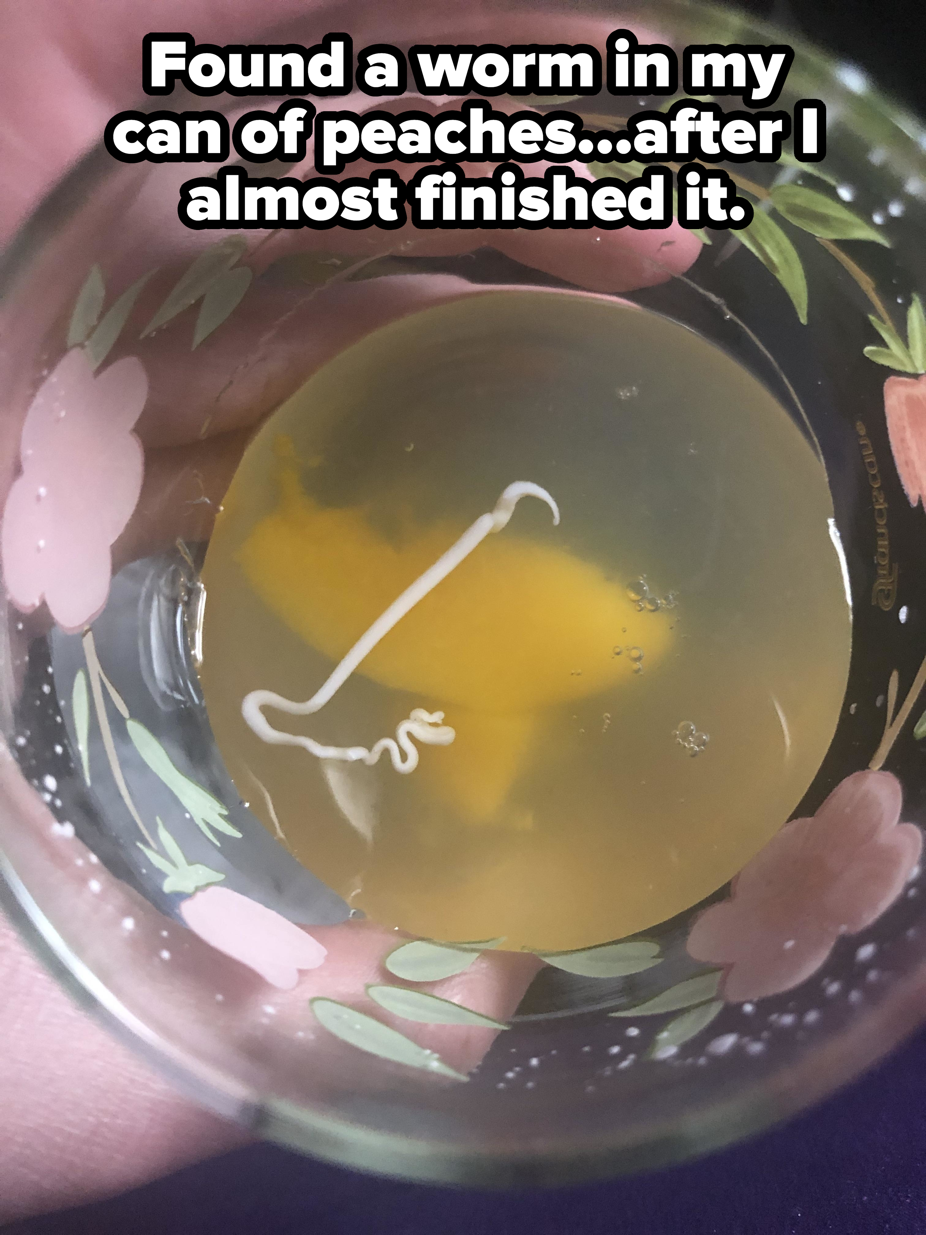 Liquid with some peach slices and a white squiggly object in a cup, with caption, &quot;Found a worm in my can of peaches after I almost finished it&quot;