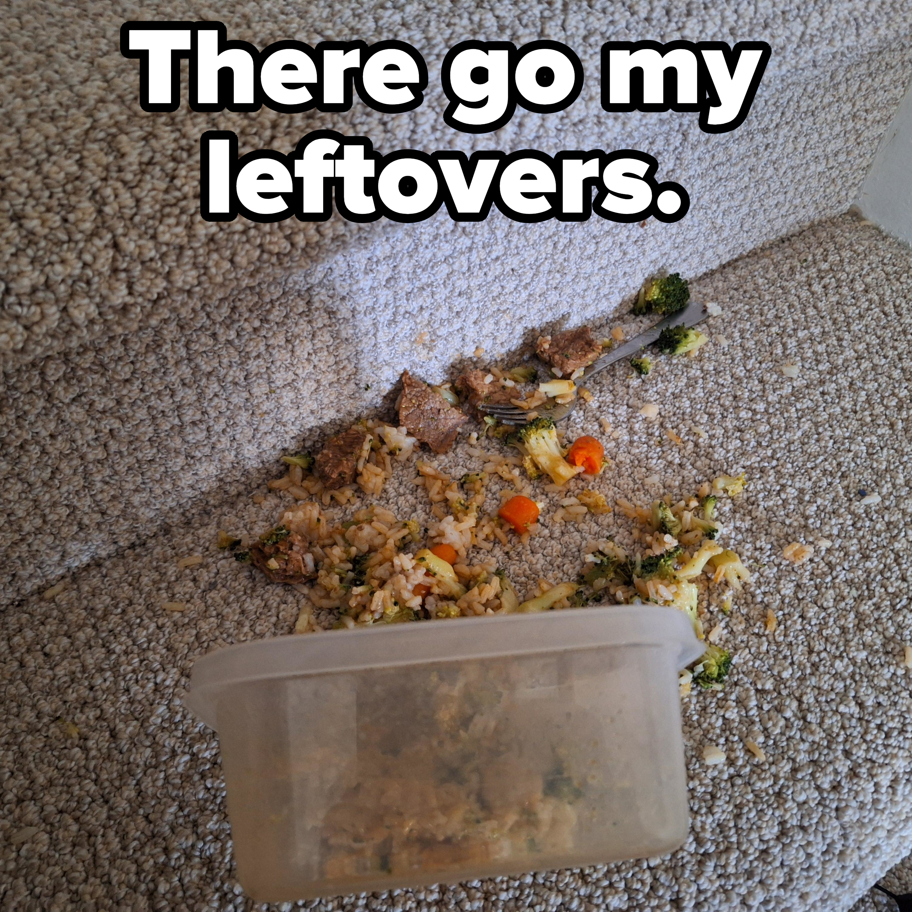 Overturned food container with spilled meal on carpeted step with caption, &quot;There go my leftovers&quot;