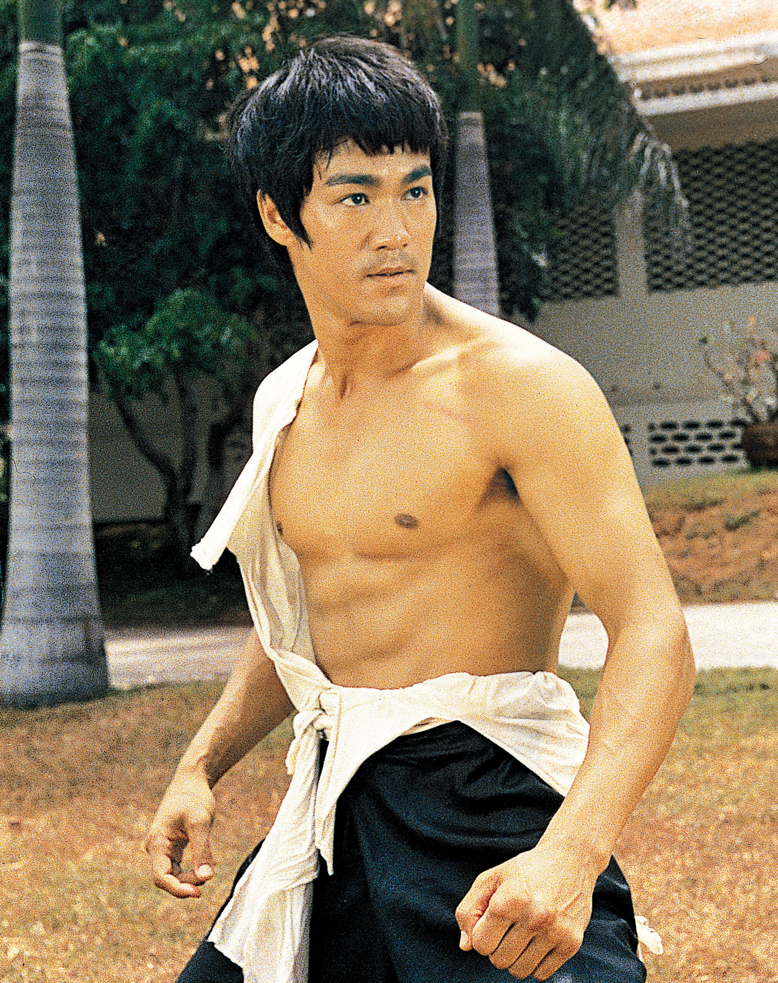 his shirtless character in martial arts stance with focused expression