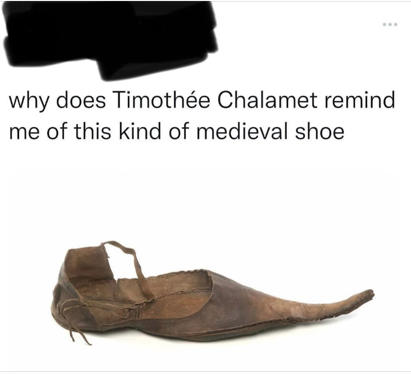 Text meme comparing Timothée Chalamet to a medieval shoe, humorous intent