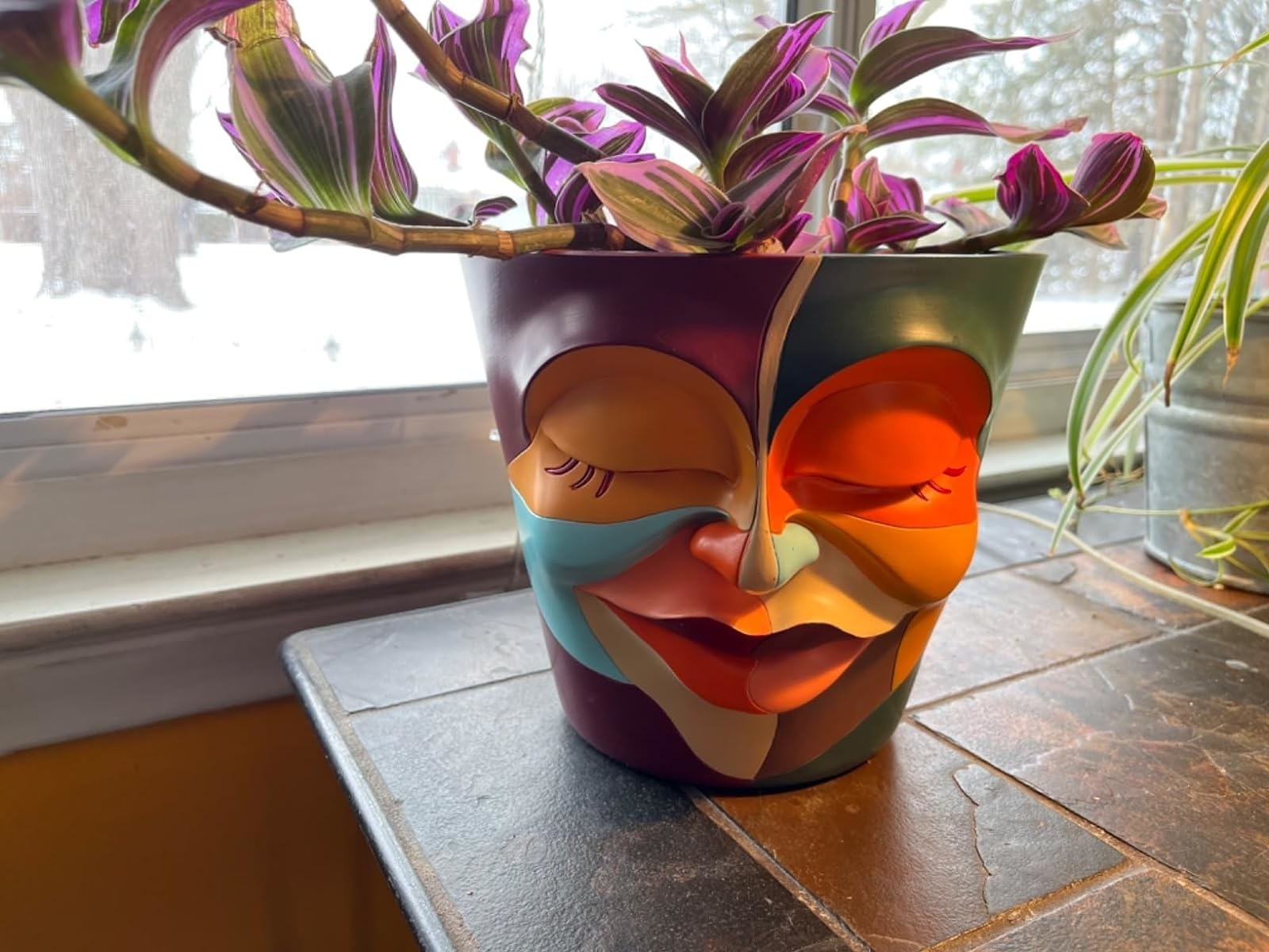 Smiling theatrical mask-themed planter with purple-leafed plant by a window, snow outside