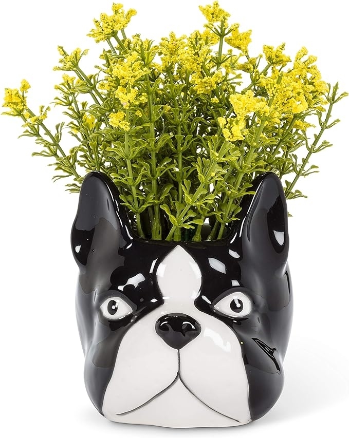 A decorative planter shaped like a dog&#x27;s head filled with small yellow flowers