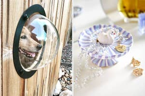 dog looking through fence bubble and swan jewelry holder