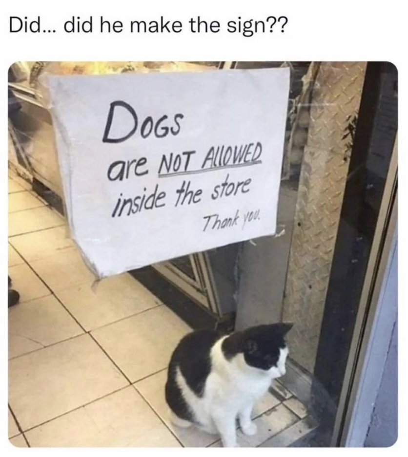 A cat sits below a sign stating "Dogs are NOT ALLOWED inside the store Thank you"