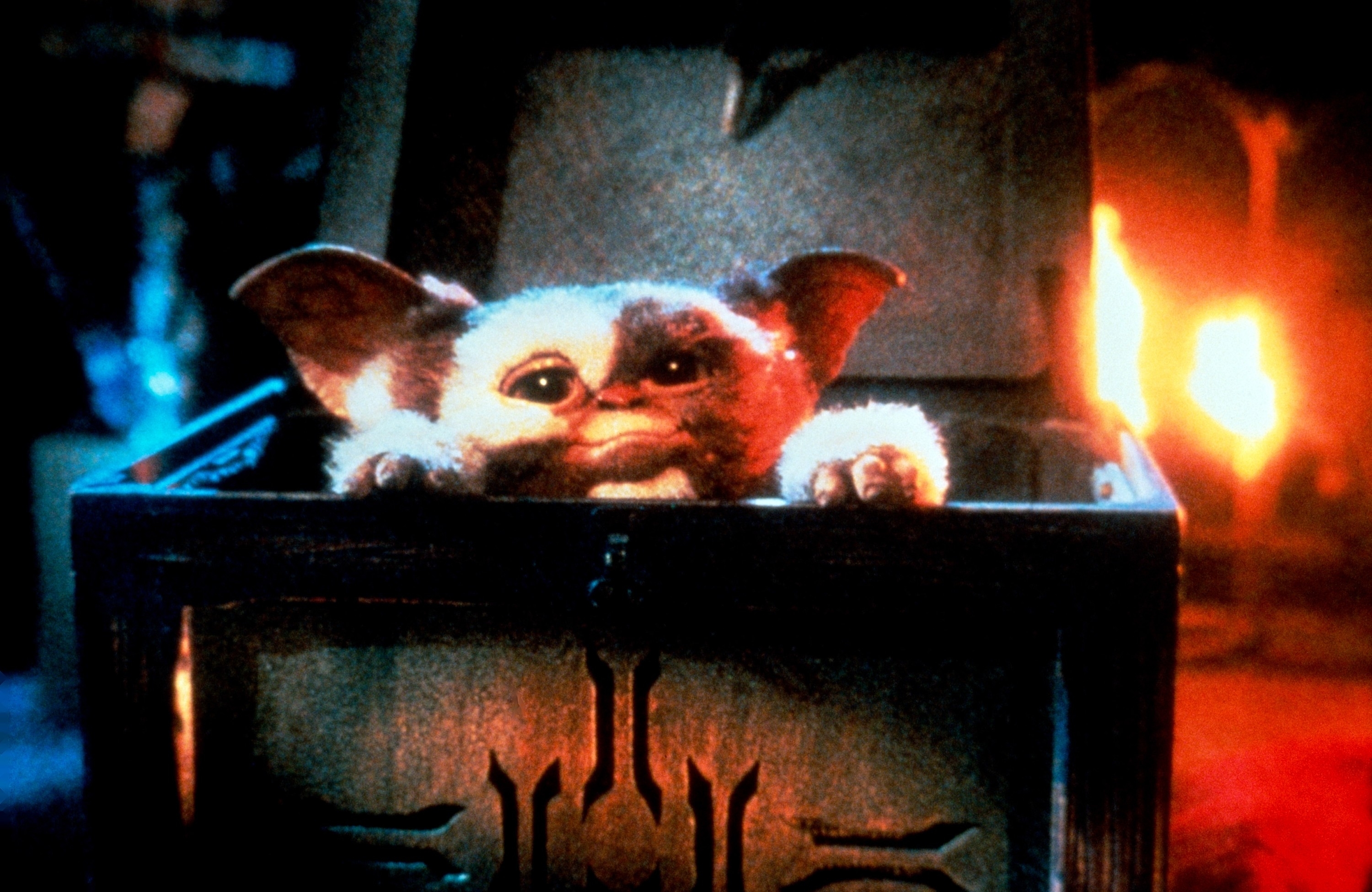 Gizmo the Mogwai peeks out from a box in a scene from the movie &quot;Gremlins.&quot;