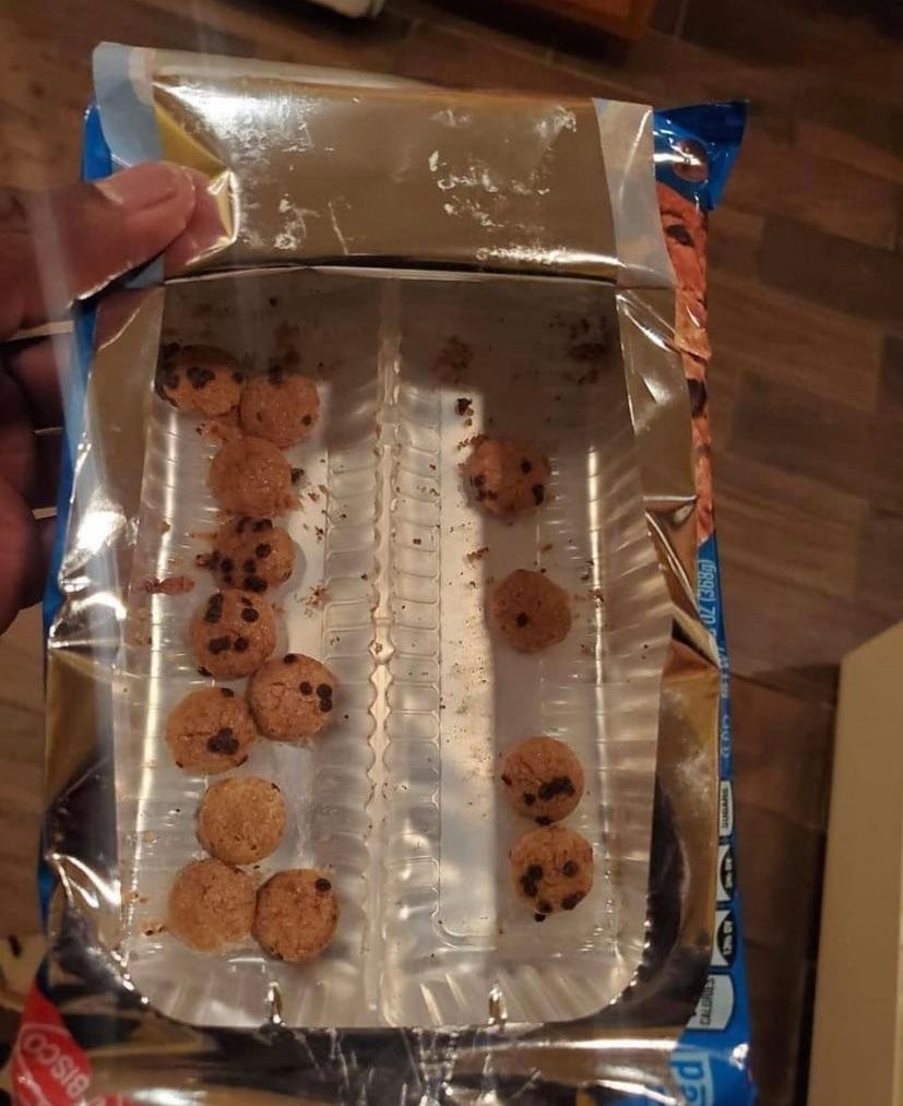 Opened chocolate chip cookie cereal box with few pieces of cereal, held by a person, expressing surprise at the small quantity remaining