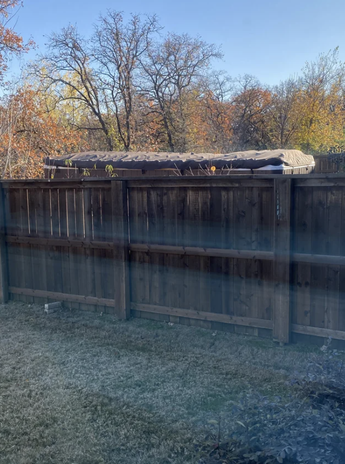 A frost-covered backyard with a wooden fence and bare trees against a clear sky