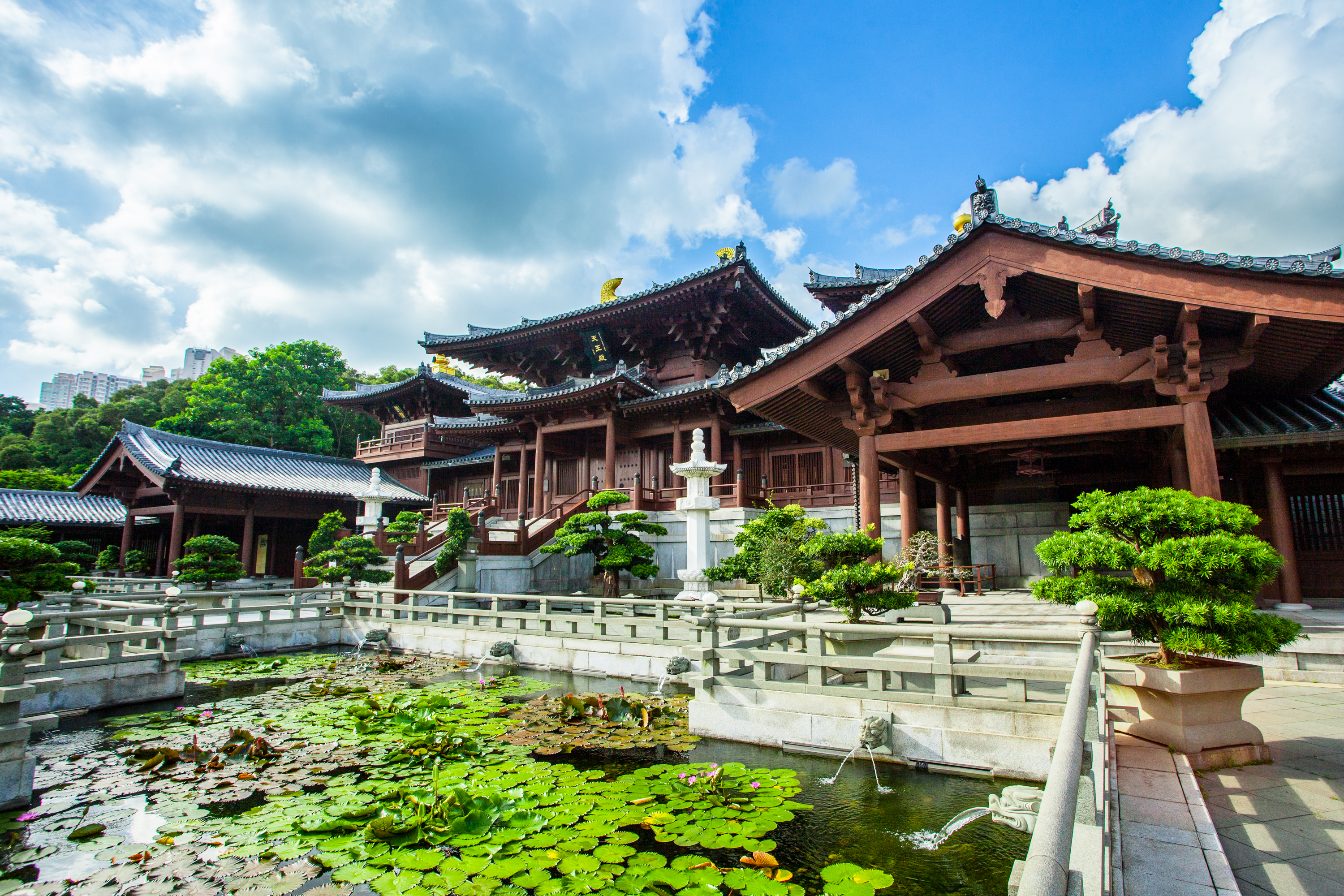 Traditional Asian temple with multiple roofs and a pond with lily pads in the foreground