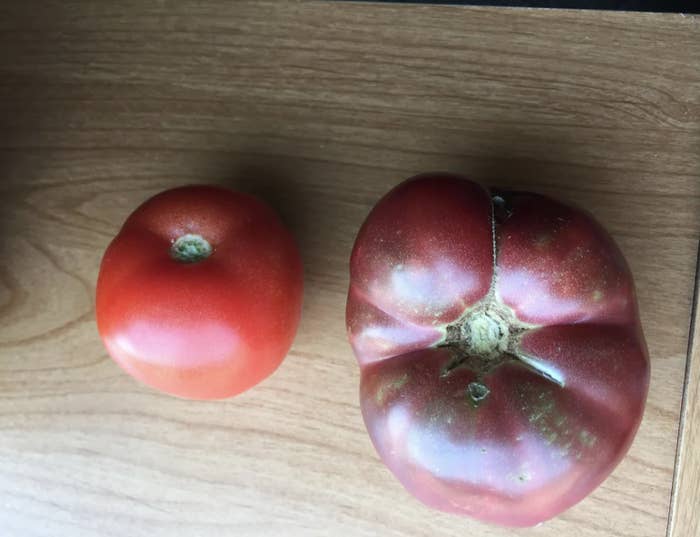 Two tomatoes of differing sizes on a wooden surface, with one showing signs of overripeness