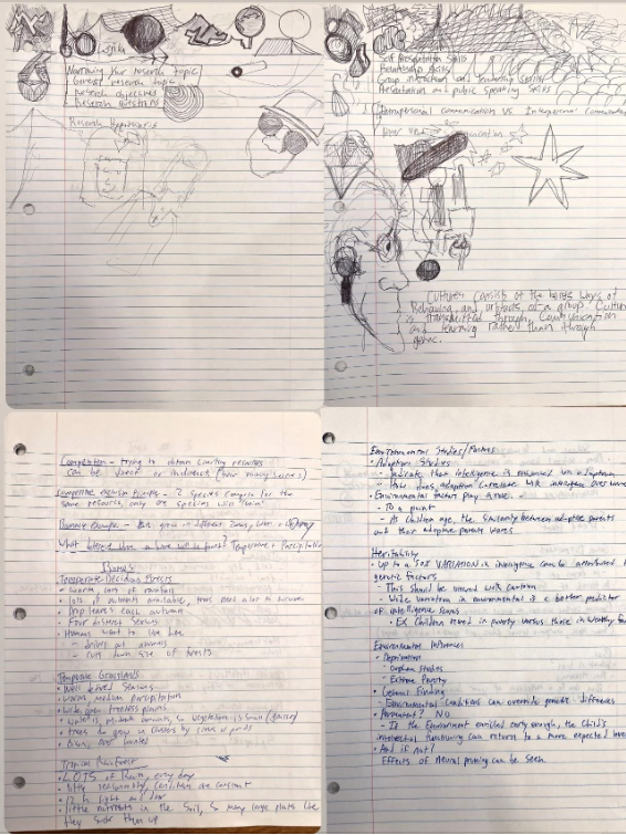 Handwritten notes with diagrams on notebook paper, related to biology and study topics