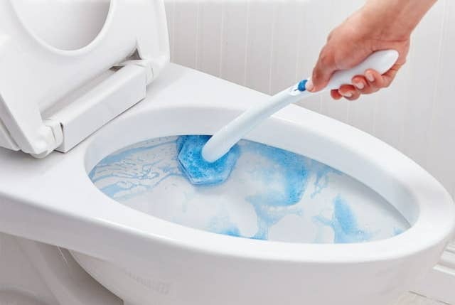 Person utilizing toilet brushwood to cleanable toilet bowl
