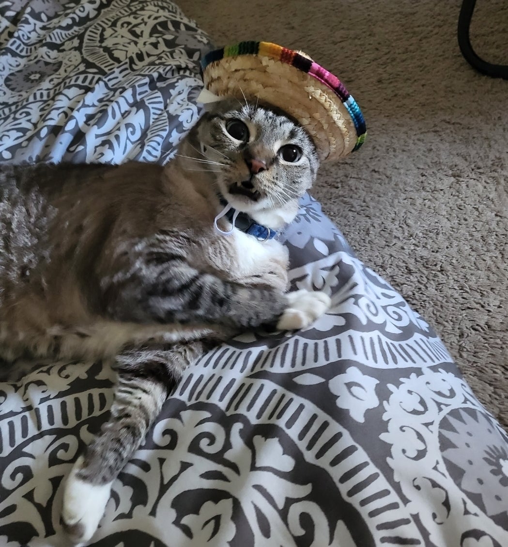 Cat lying on a patterned blanket, wearing a small sombrero