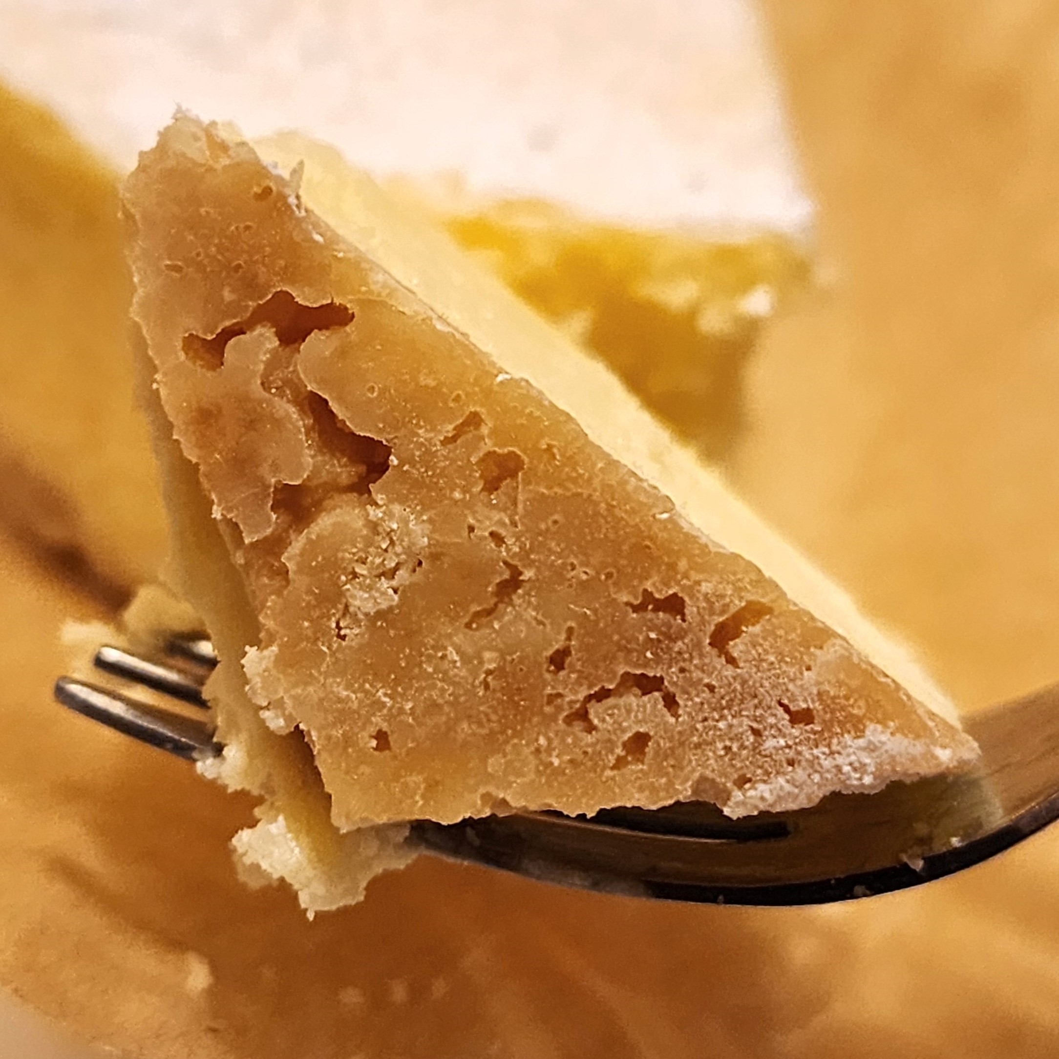 コメダ珈琲店のおすすめスイーツ「北の大地のフロマージュ」