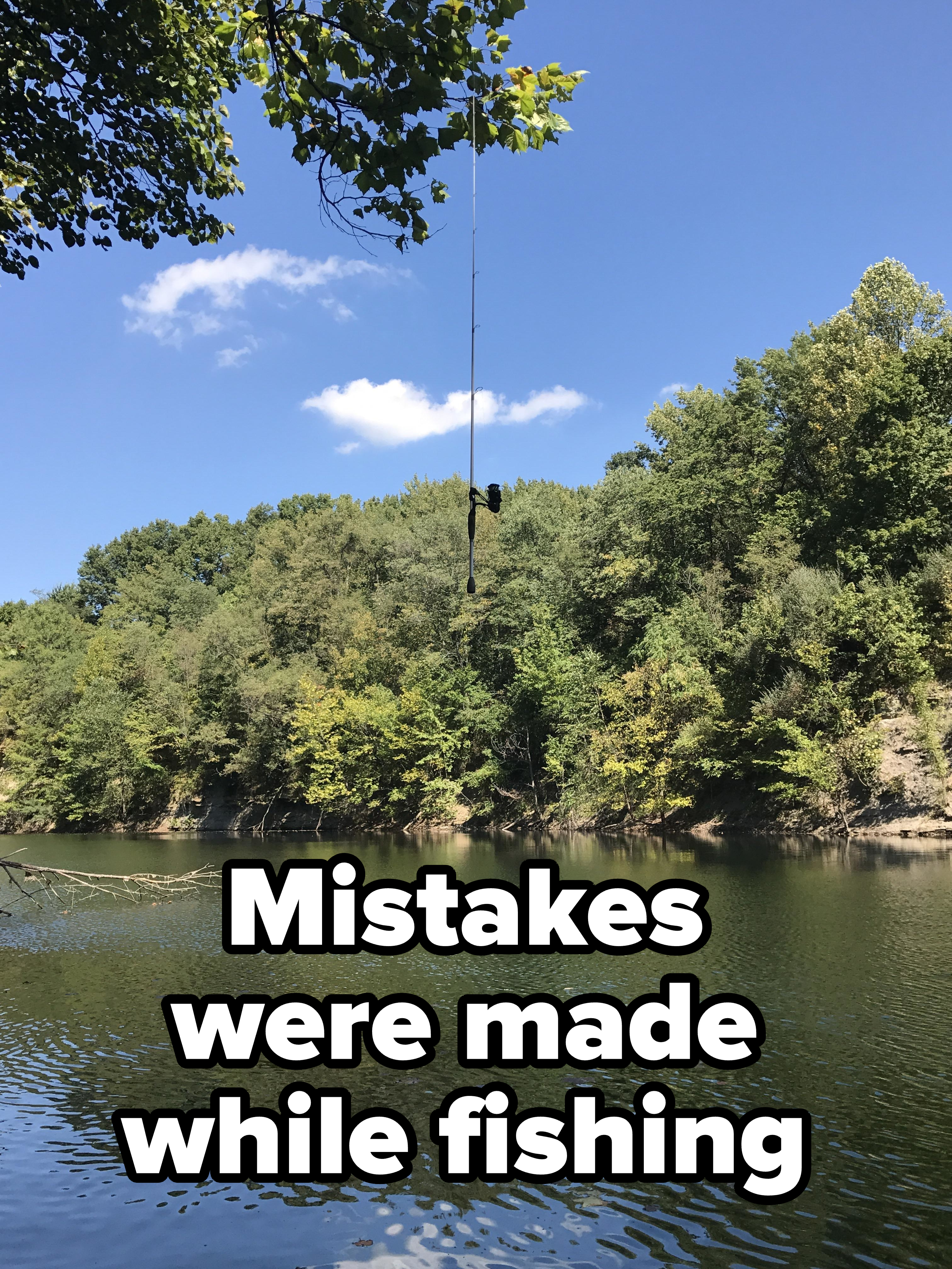 A fishing pole hanging from a tree branch above a river with trees in the background