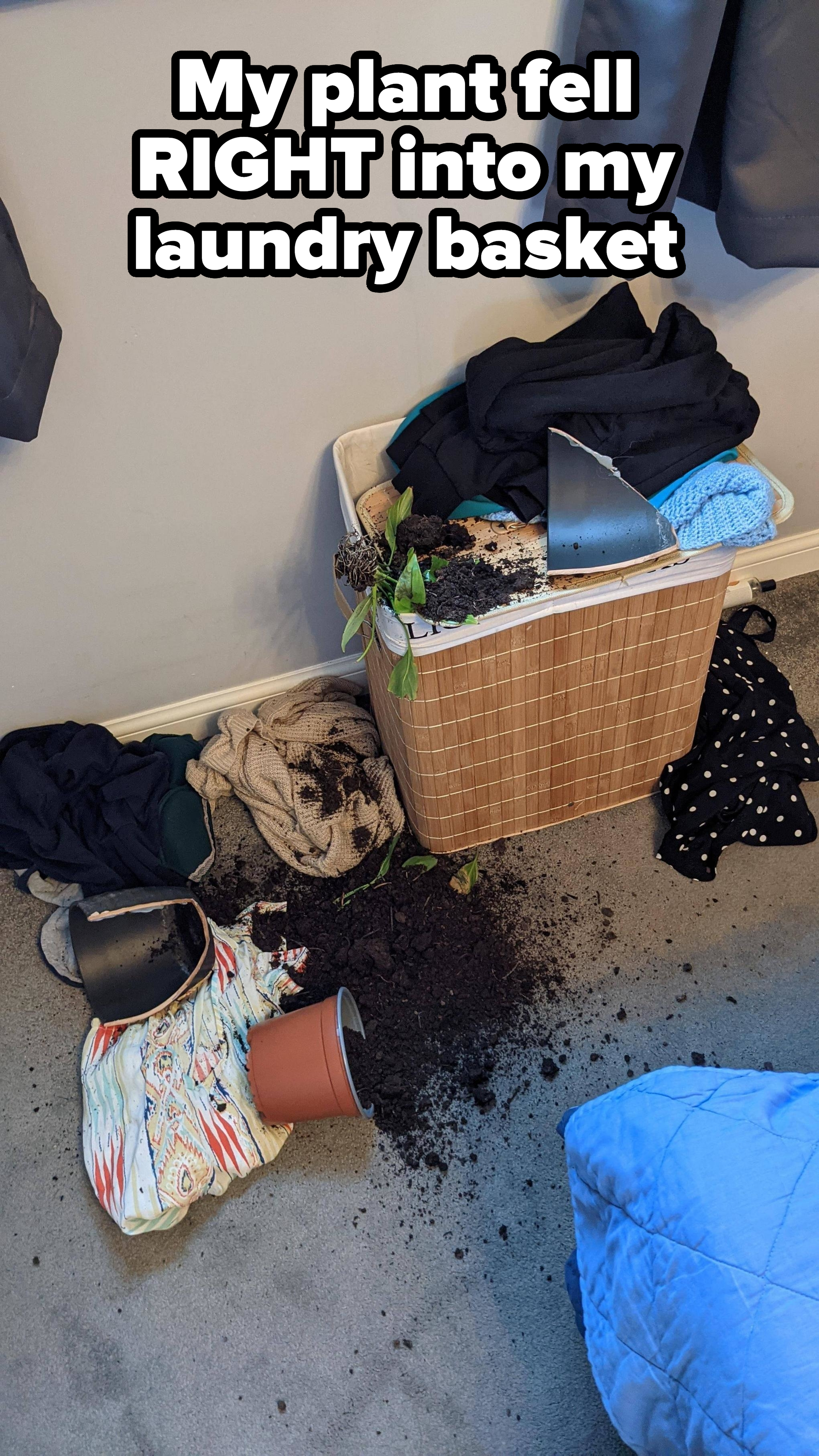 Overturned plant pot with soil spilled inside a laundry basket and on clothes and the floor