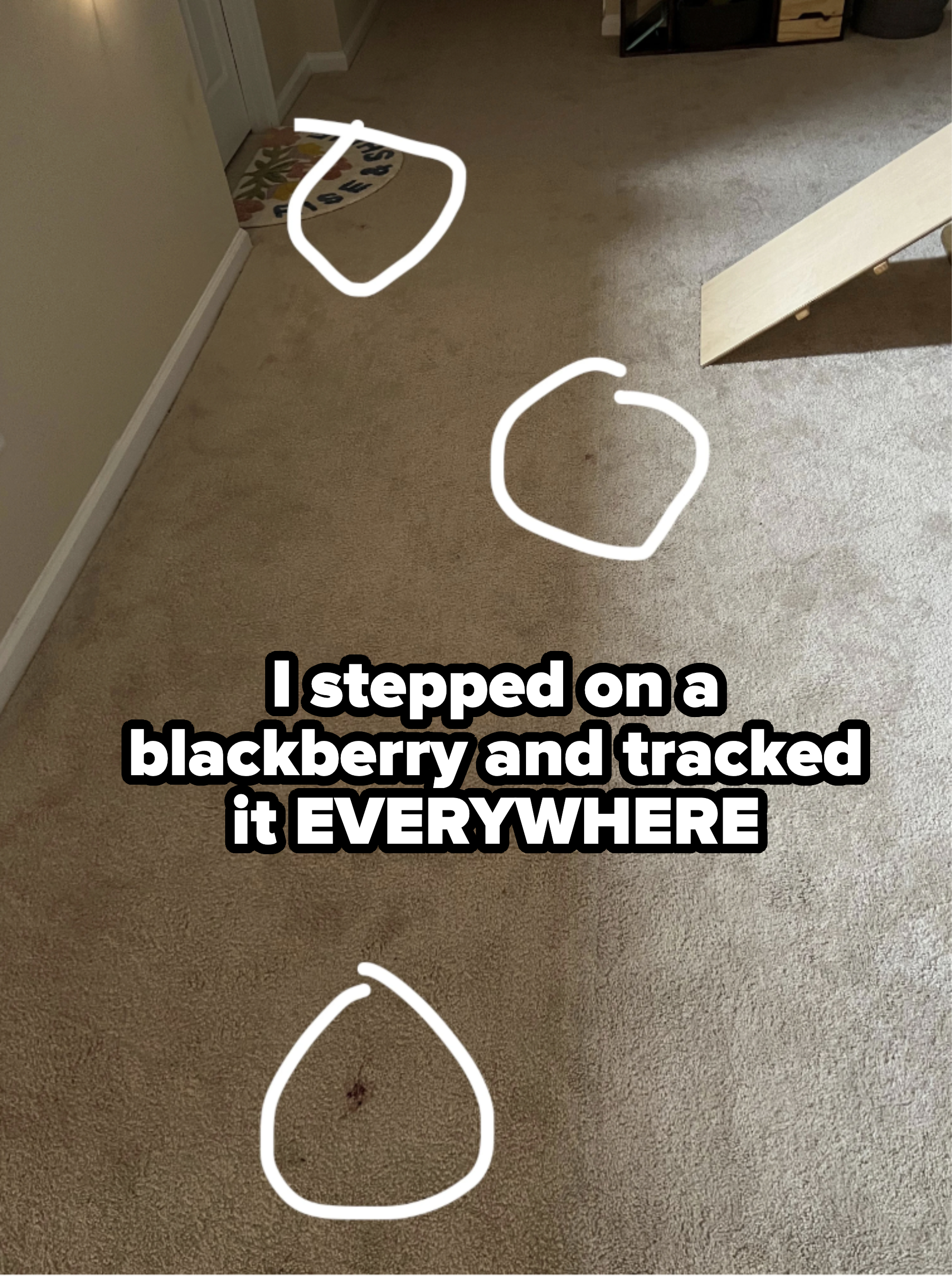 Carpeted floor with circled blackberry stains on it after person stepped on a berry