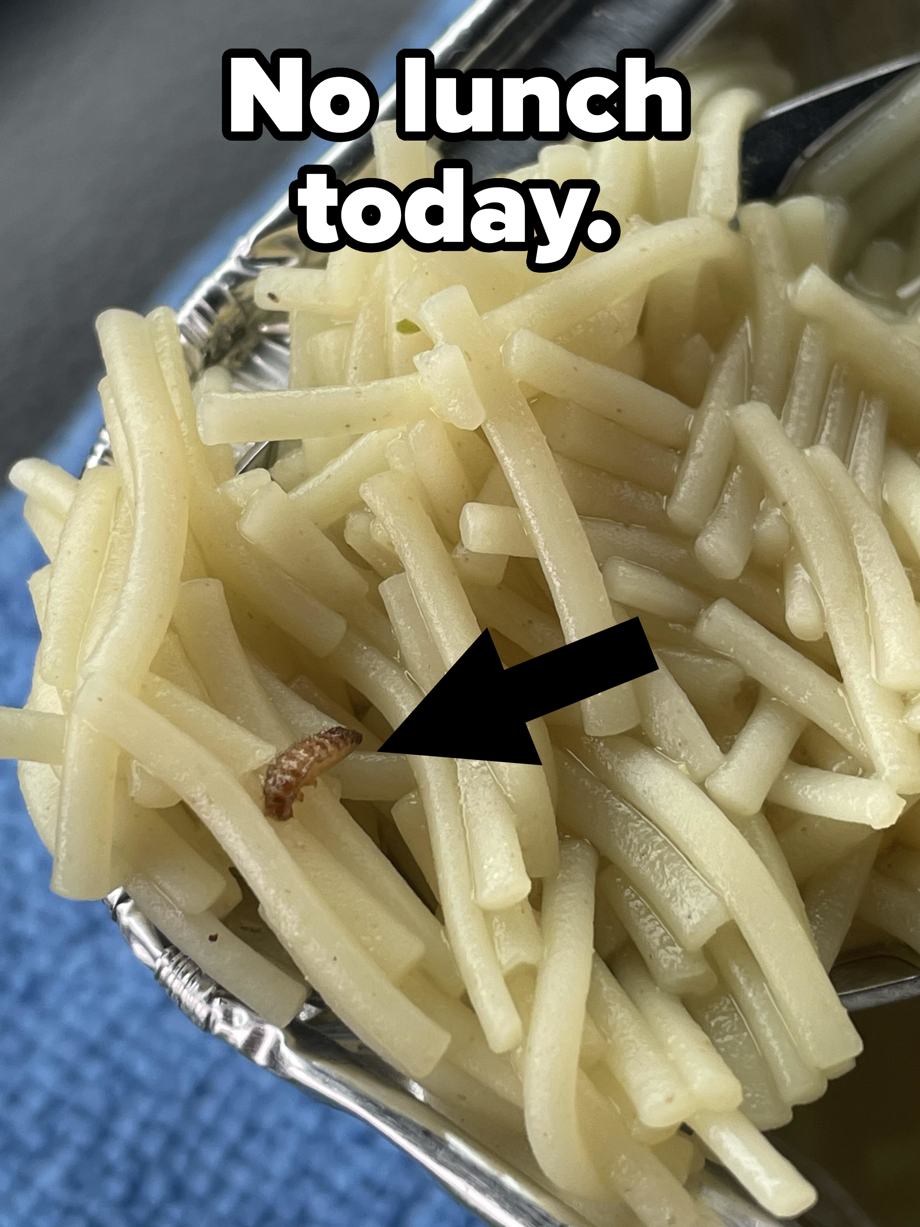Cooked pasta in a container with a wormy insect visible