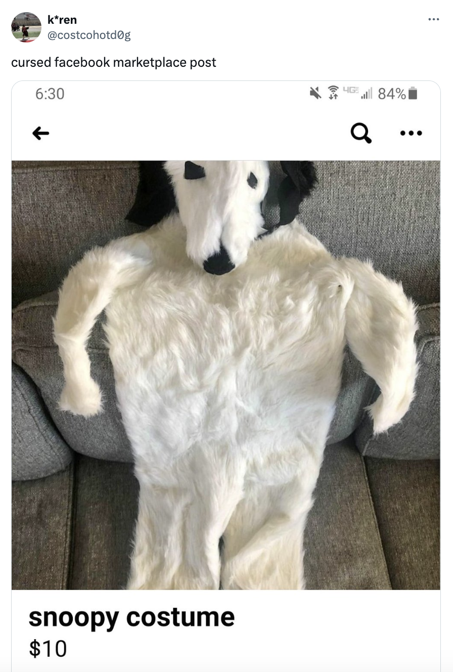 Snoopy costume for sale on a sofa in a social media marketplace post