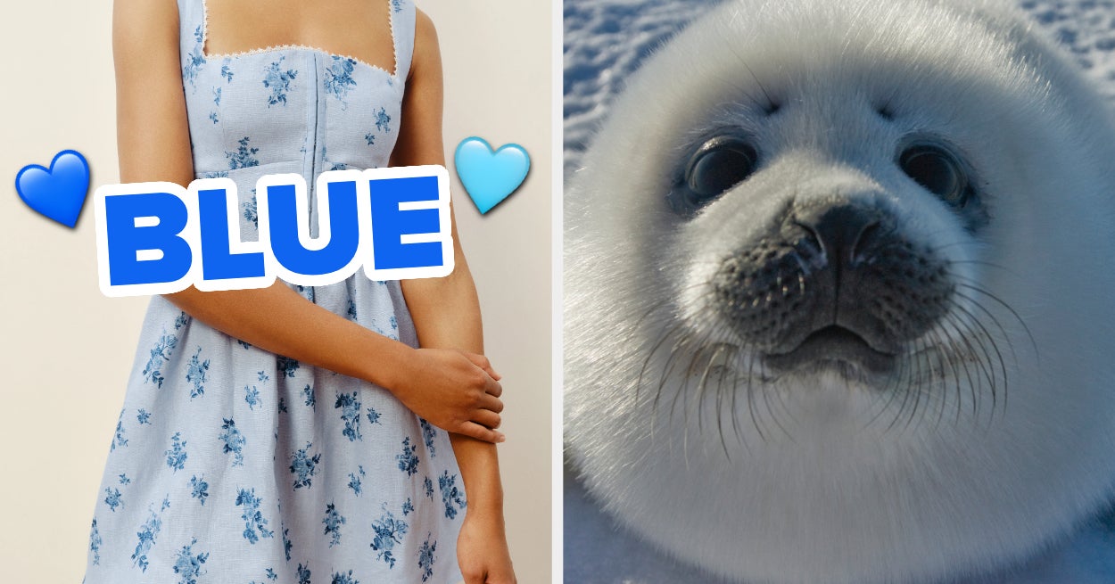 Pick Animals Guess Favorite Color Quiz
