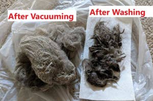 Comparison of pet hair collected after vacuuming and washing, suggesting efficacy of cleaning methods