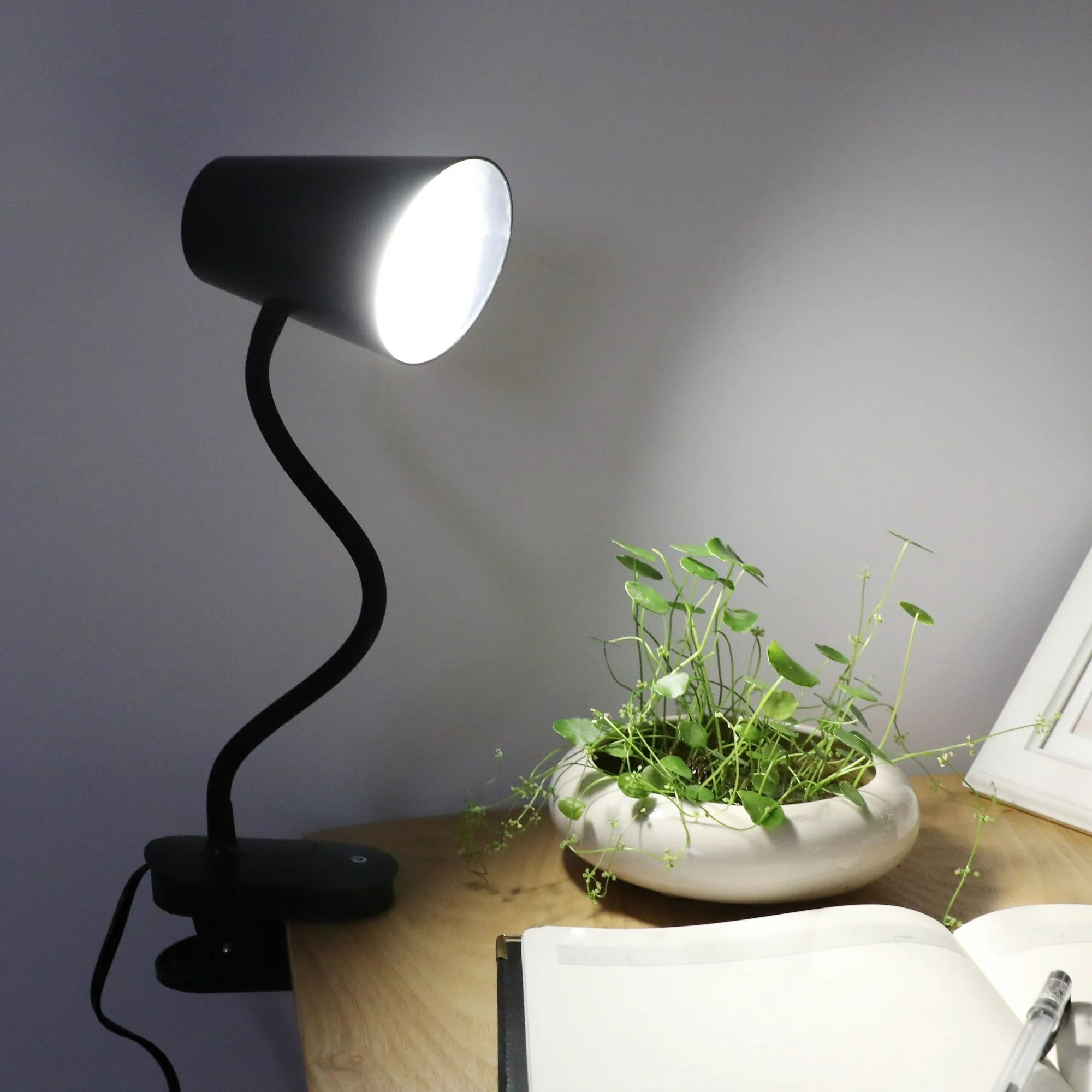The lamp clipped to a night stand next to small potted plant, suggesting a cozy reading area