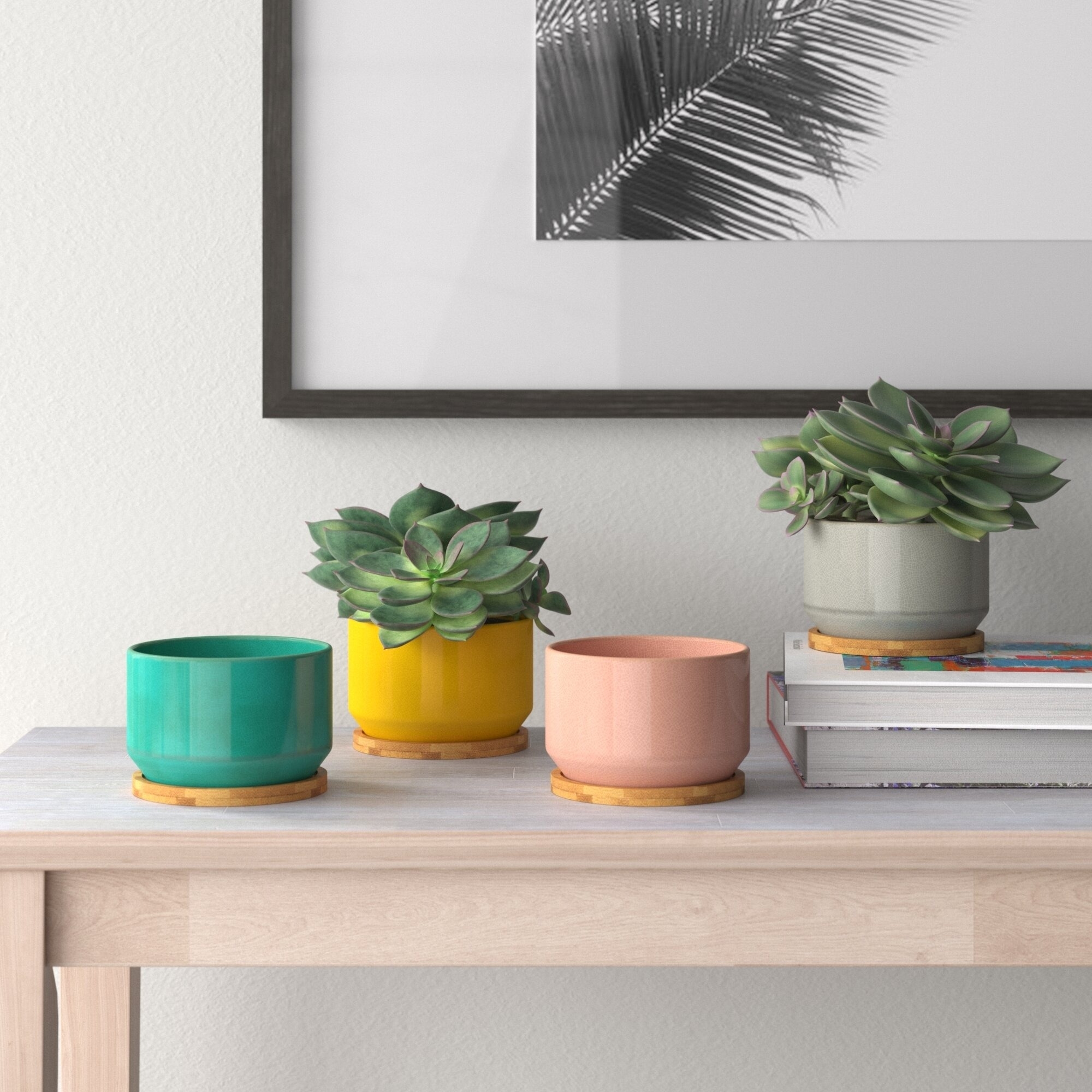 Three potted succulents on a shelf, with a framed picture above and books beside them