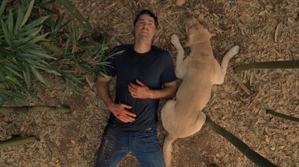 Man and dog lying on ground, mirroring each other&#x27;s relaxed posture