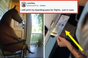 A horse sits casually inside a home on the left; a person's hand holds a printed boarding pass on the right. Text tweet overlay