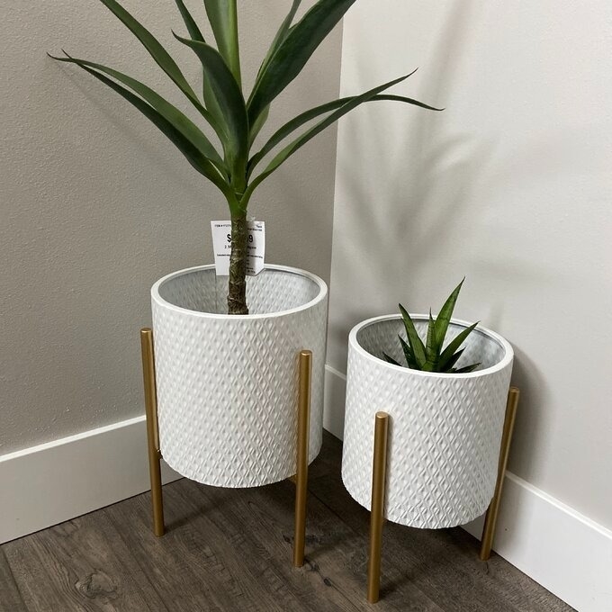 Two textured white planters on wooden legs with a green plant in each