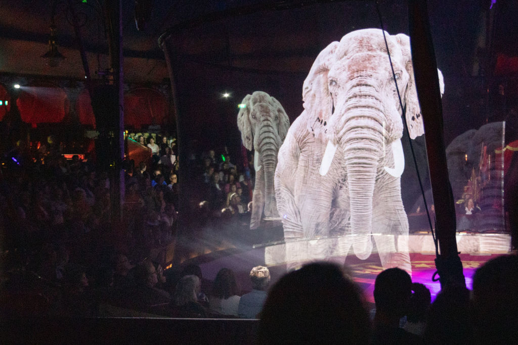 Holographic elephants displayed at an event with an audience watching in dim lighting