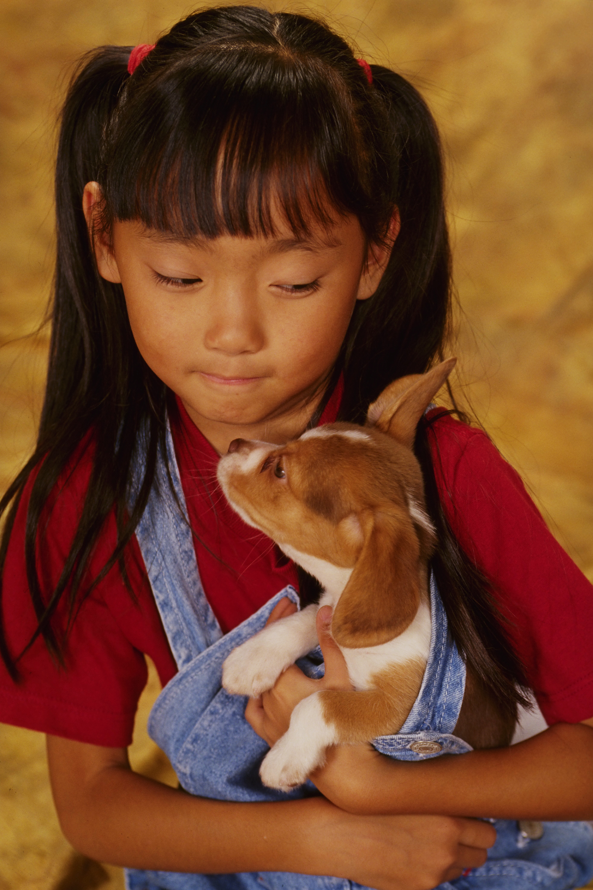 little girl holding a puppy