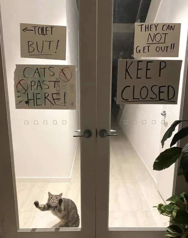 Handwritten signs on glass doors say &#x27;TOILET BUT! CATS PAST HERE!&#x27; and &#x27;THEY CAN NOT GET OUT!! KEEP CLOSED&#x27; with a cat sitting inside