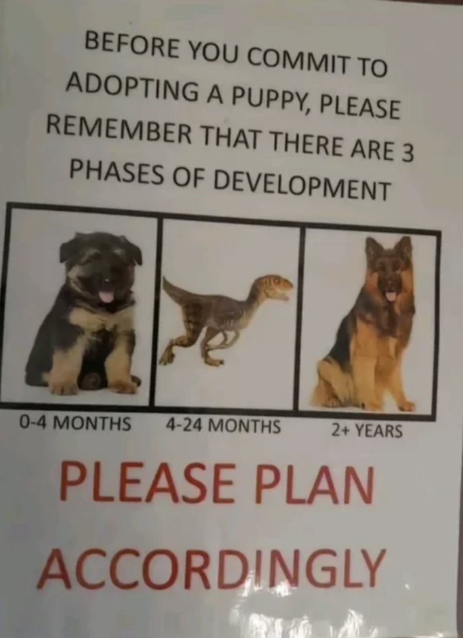 Sign illustrating puppy growth stages: 0-4 months - small puppy, 4-24 months - velociraptor, 2+ years - adult dog. Text advises planning for development