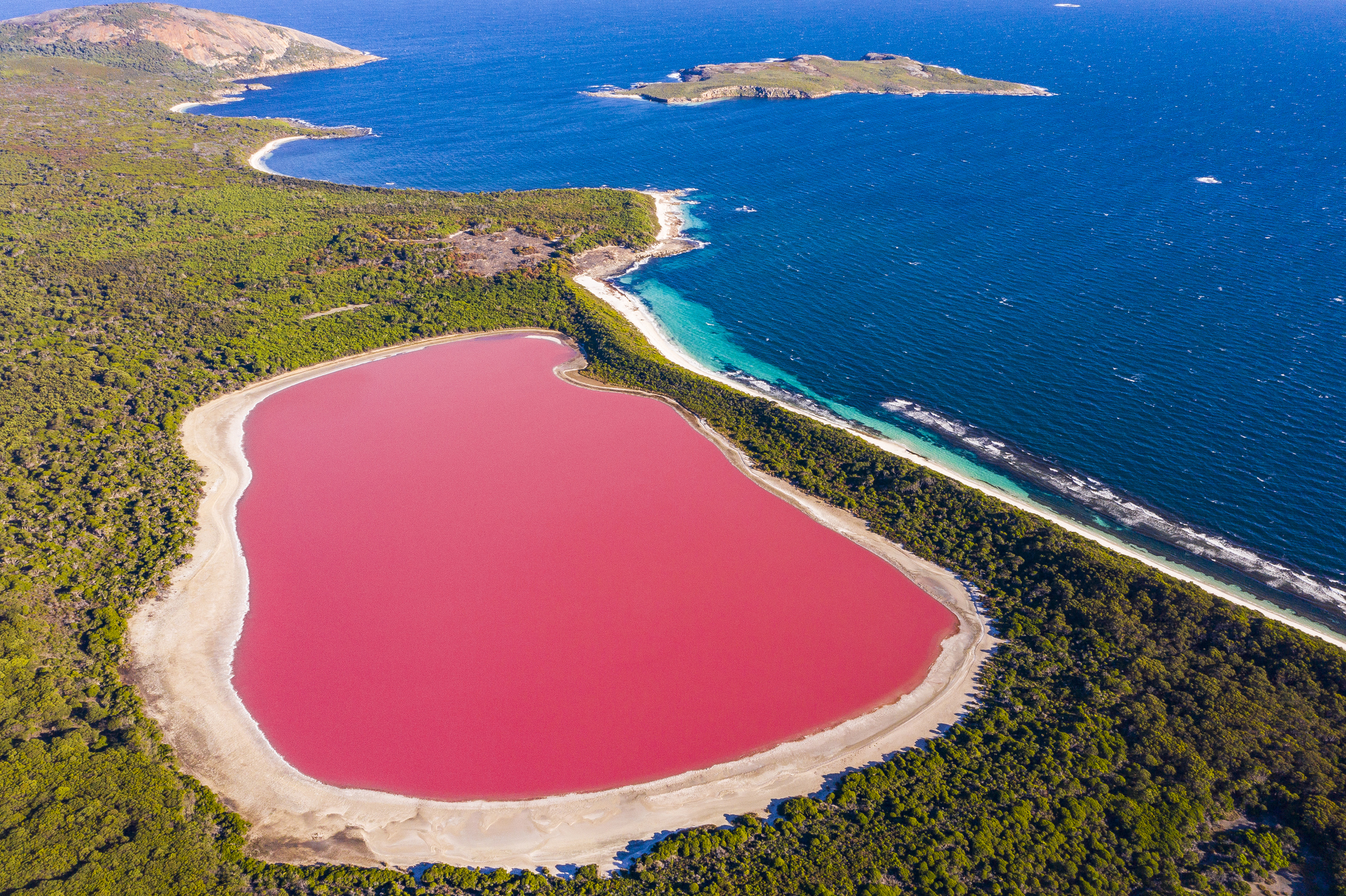 Aerial view of Lake Hillier, notable for its distinct pink color, surrounded by greenery and blue waters