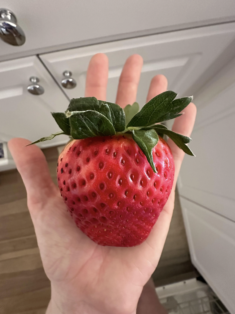 A hand holds a very large strawberry with prominent seeds and a green leafy top