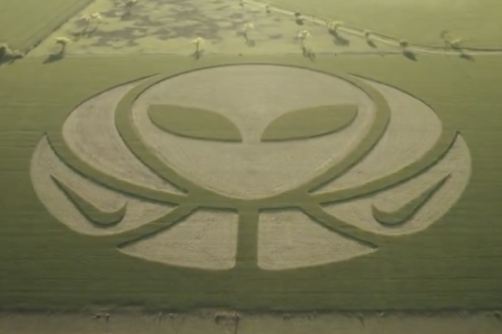 Aerial view of a crop circle resembling an alien face with a stylized body in a field