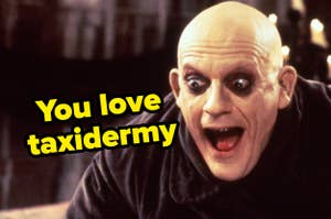 Uncle Fester from The Addams Family looks surprised with text "You love taxidermy" displayed