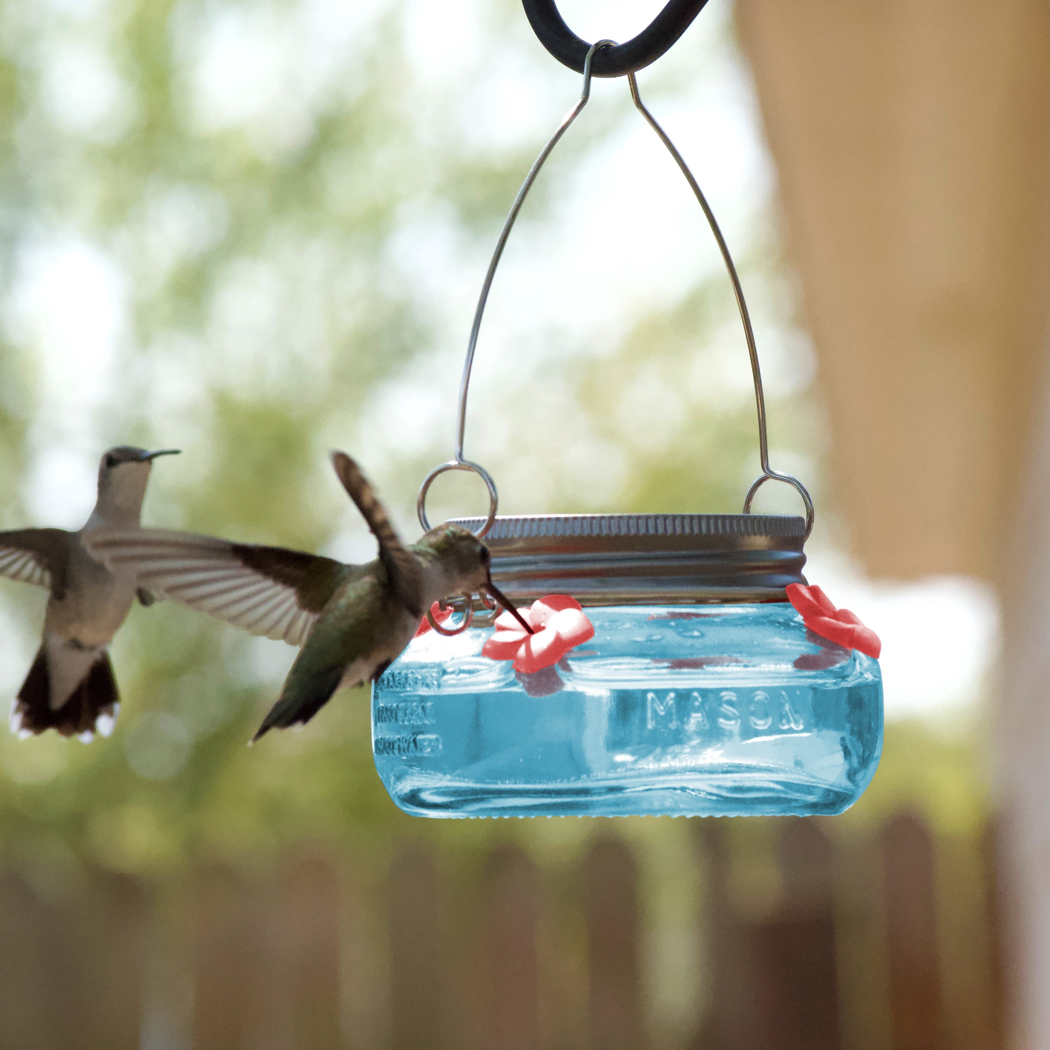Two hummingbirds hover near a mason jar feeder
