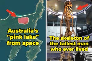 Two images: Left shows Australia's pink lake from space. Right, tallest man's skeleton in a museum