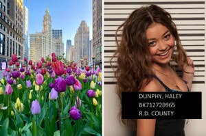 On the left, tulips blooming in Chicago, and on the right, Haley from Modern Family posing for a mugshot