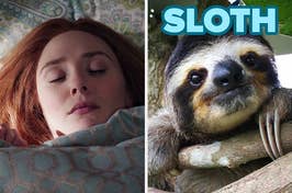 On the left, Elizabeth Olsen sleeping in bed as Wanda on WandaVision, and on the right, a baby sloth in a tree