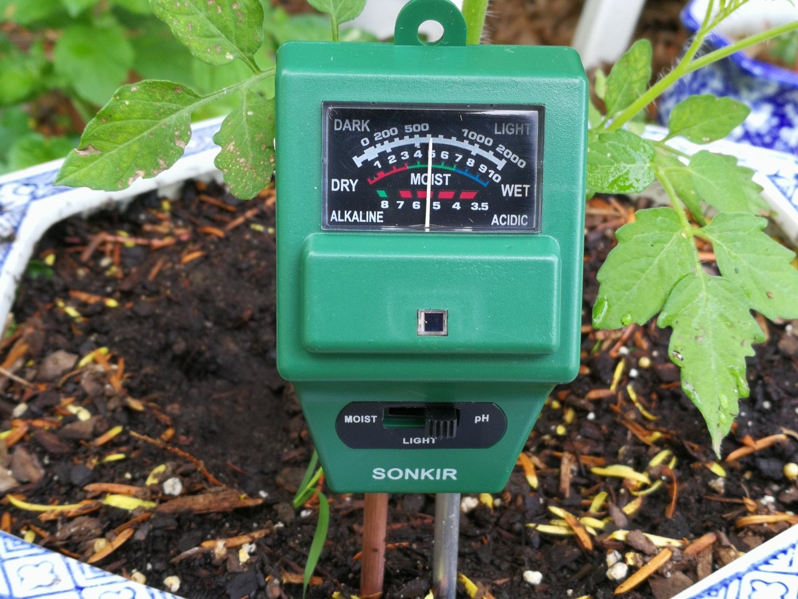 Soil moisture and pH meter inserted in soil for garden maintenance