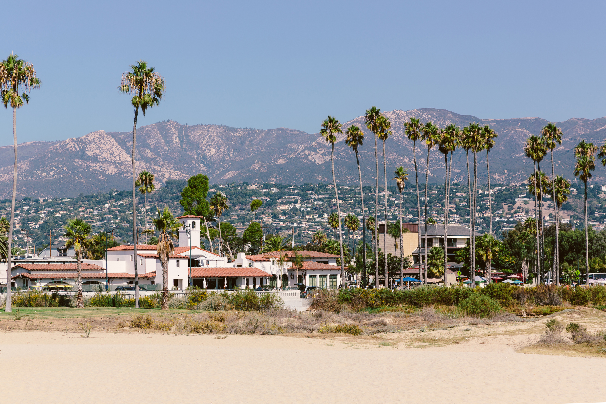 Beachfront view with palm trees and mountain background, with a modern building in the center
