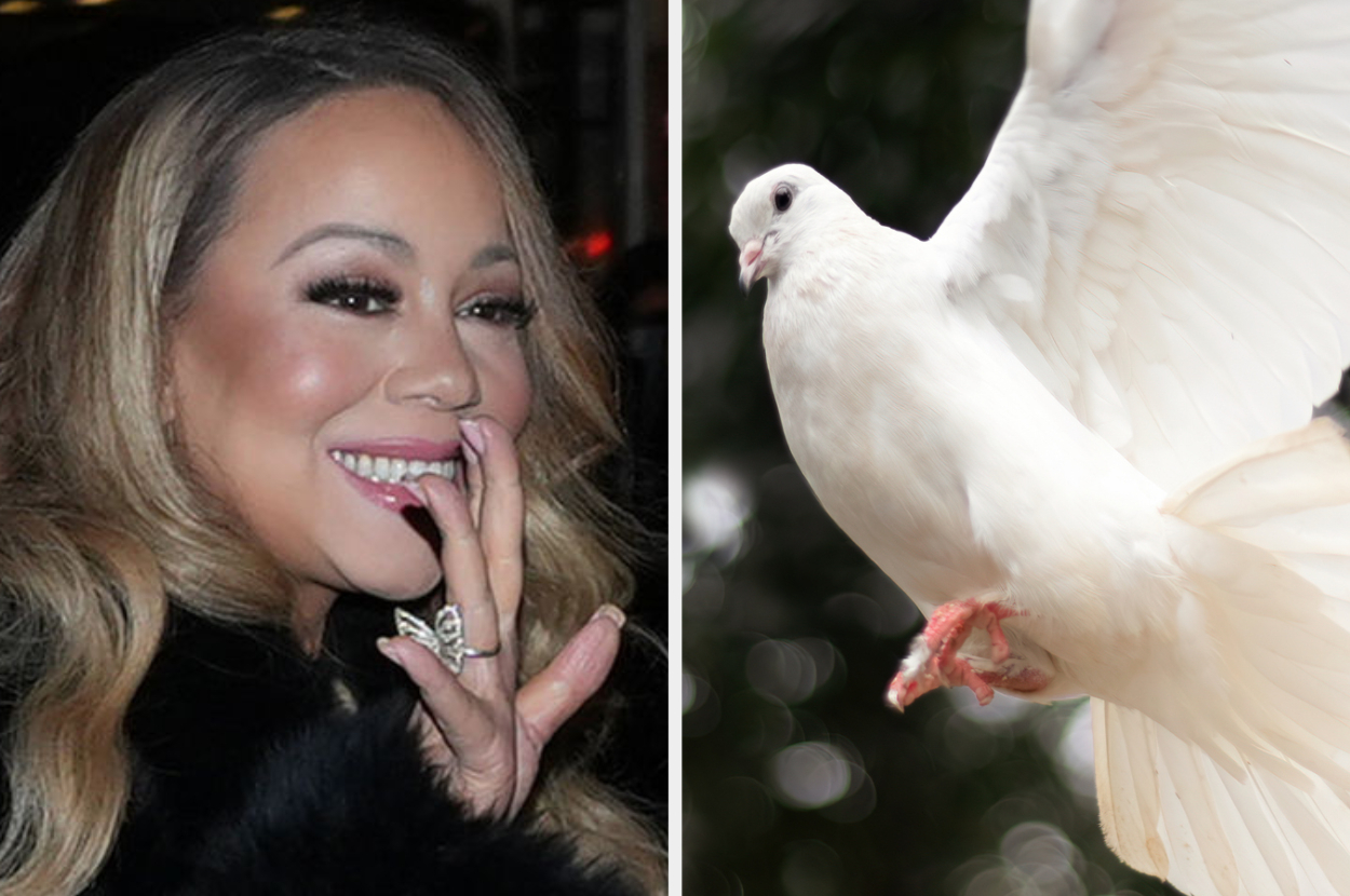 Mariah Carey smiling, wearing a black outfit; a white dove in flight