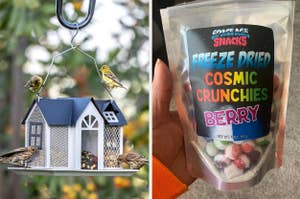 Birds perched on a feeder shaped like a house; a hand holding a packet of freeze-dried berry snacks