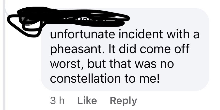 Social media screenshot of a comment about an incident with a pheasant, ending with a mix-up of &quot;consolation&quot; and &quot;constellation.&quot;