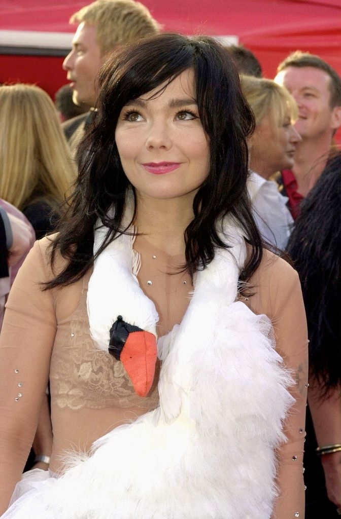 Björk at event wearing a swan-themed dress with a feathered bodice