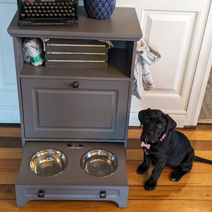 The image shows a black puppy next to a gray feeding station with two bowls and a drawer, in a home interior