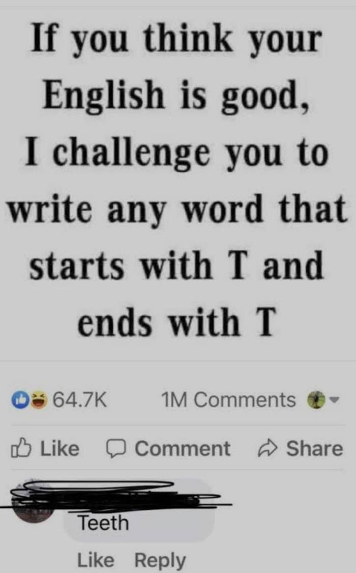 Meme challenging to write a word starting with T and ending with T, with a humorous response given